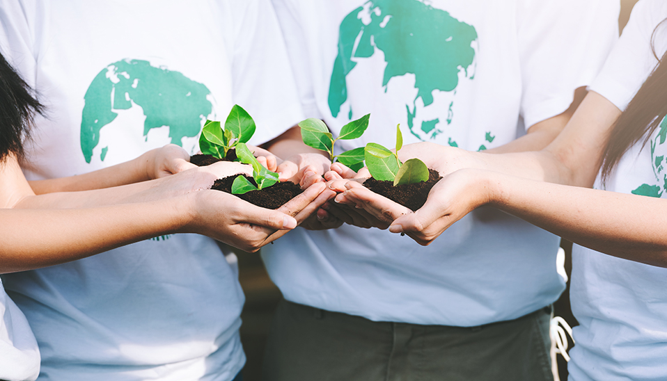 شركة شنغهاي بيرسا لصناعة الأنابيب المحدودة.